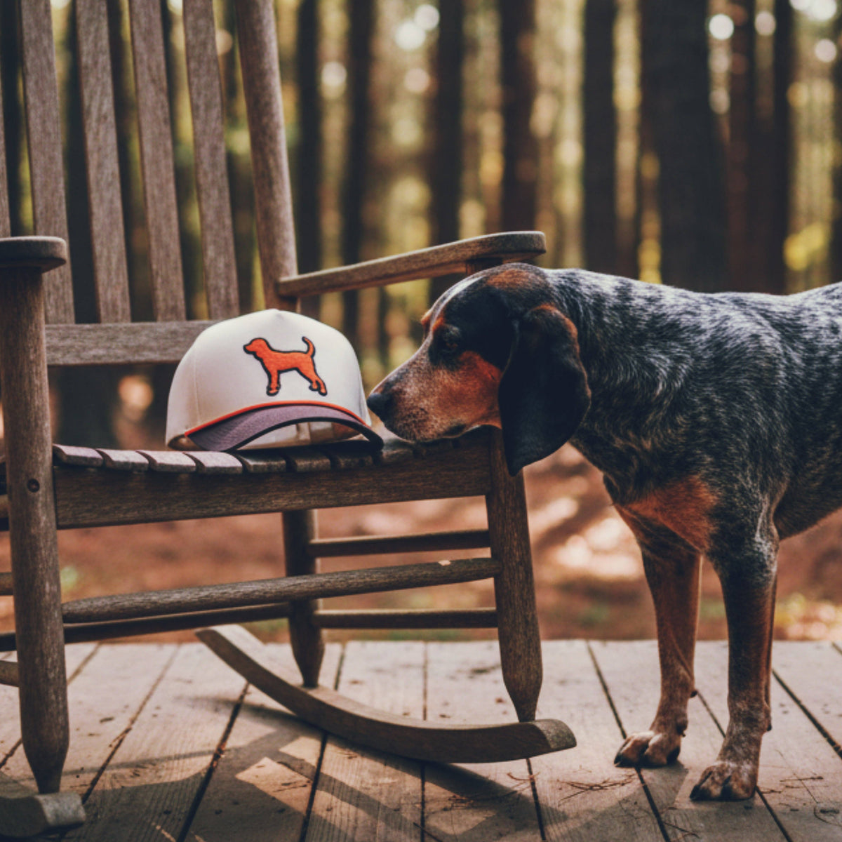Bluetick Hat Vintage Brown