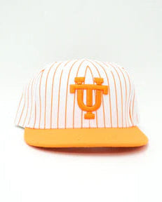 Pinstripe Interlocking UT Hat