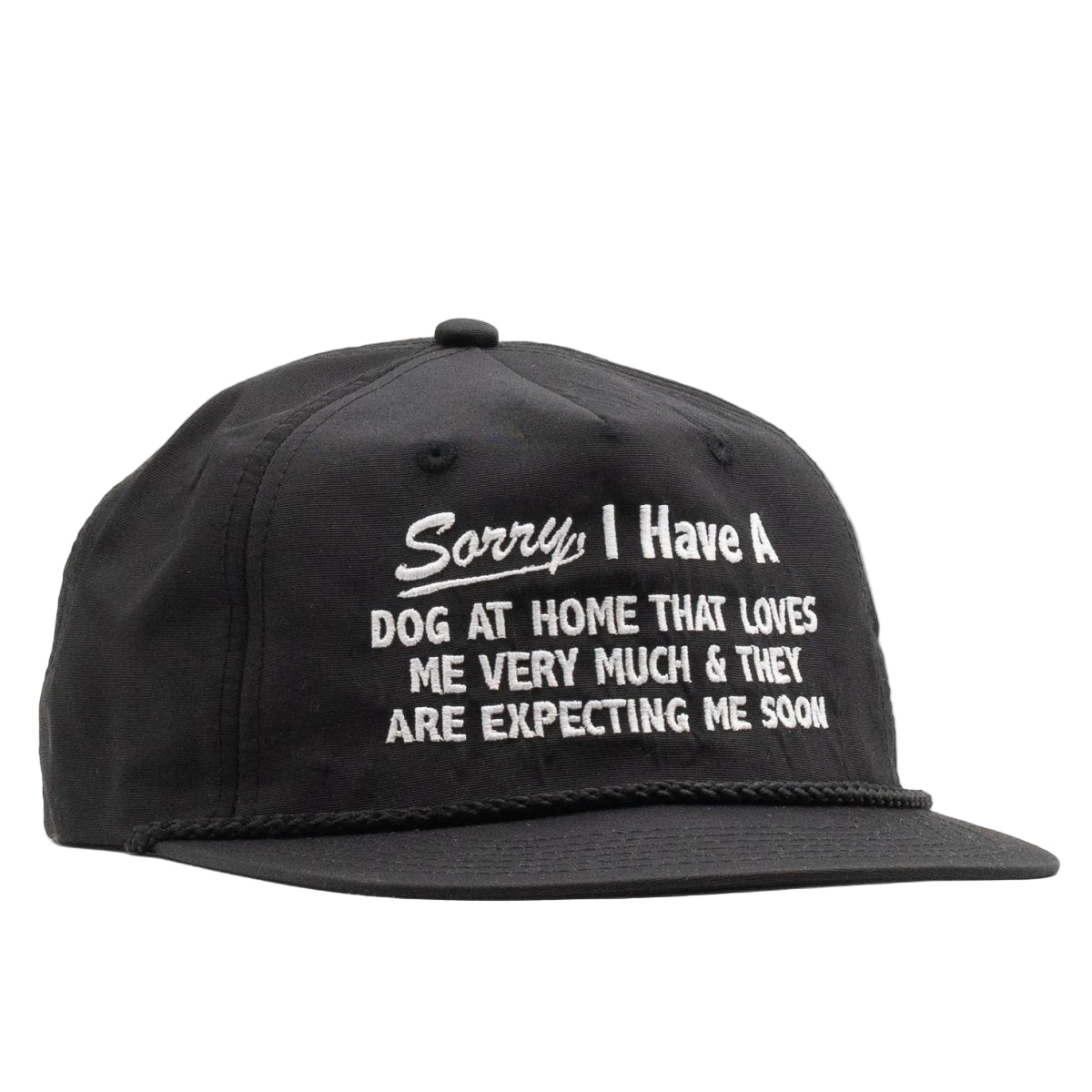 Sorry, I Have A Dog At Home Hat